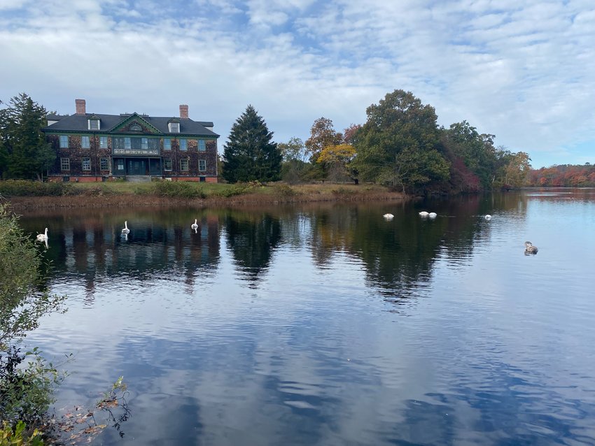 Escape the City: A Nature Lover's Paradise in Connetquot River State Park Preserve