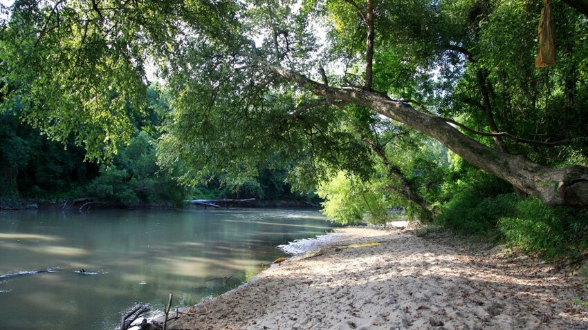 The banks of the Amite River
