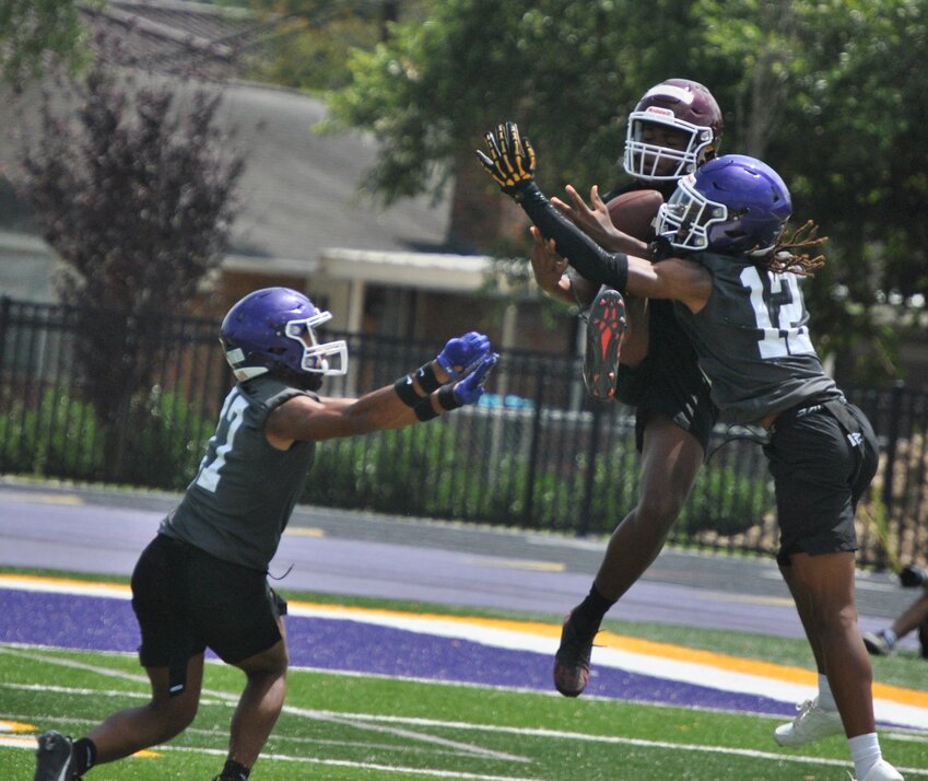 Albany's Yadrieon Williams makes a difficult catch during their 7-on-7 competition at Denham Springs on June 11.