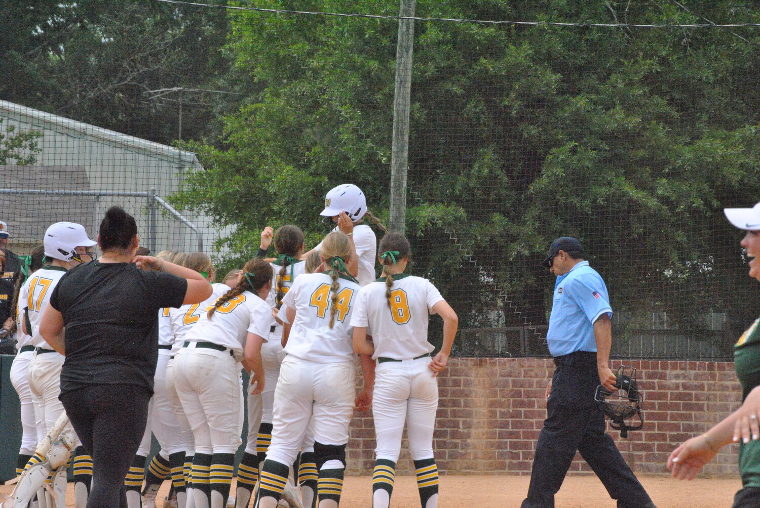 Walker comes up short to St. Amant - Livingston Parish News