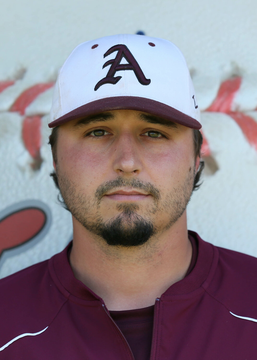 BASEBALL | Late-season push, co-district crown propel Albany to a ...