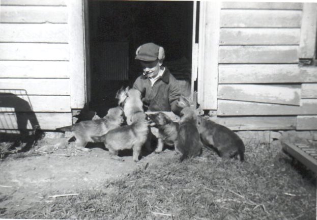 In 1958, Emery had several German Shepherd puppies to keep him busy