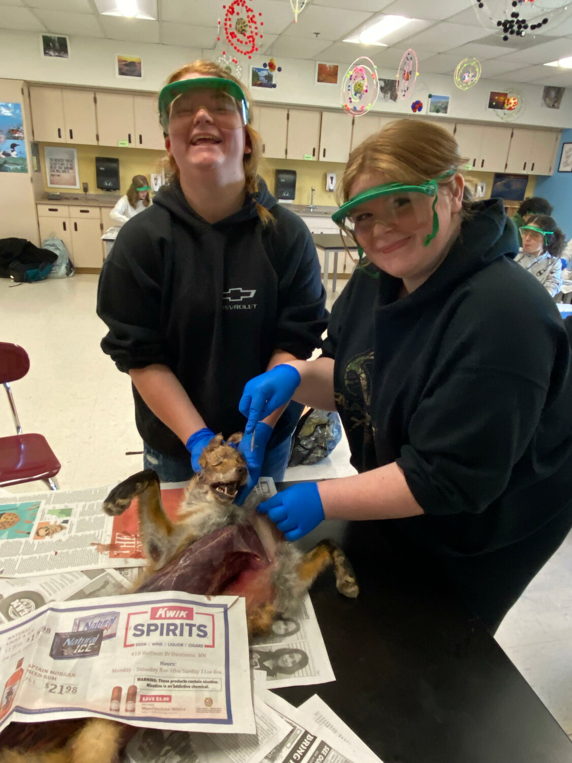 Gabby Geers and Autumn Dean making progress on their red fox.
