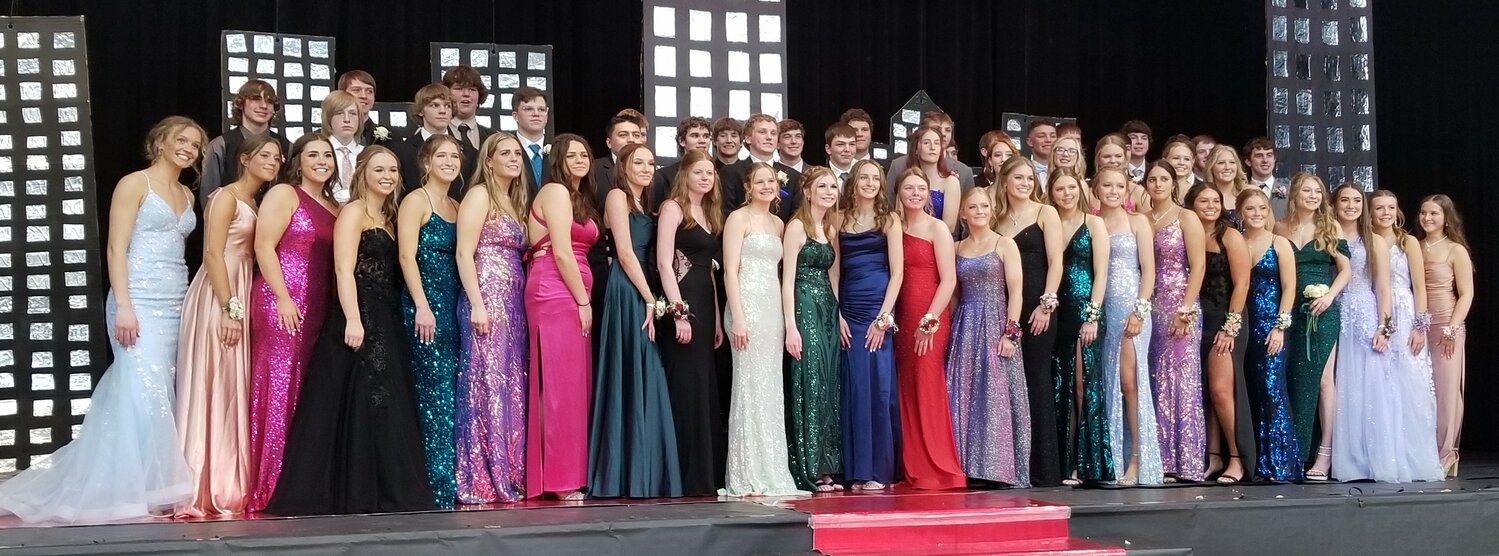 This large delegation of Goodhue Sophomores shone on prom night.