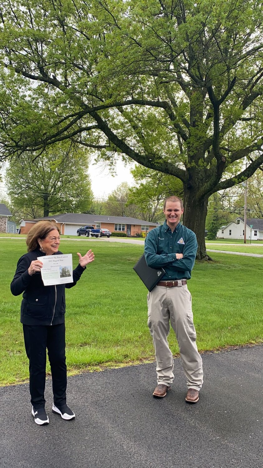 Martha Meyers proudly accepts the award certificate for submitting the largest tree in Marshfield, which happens to have its roots planted right in her front yard at Hubble and Pine.