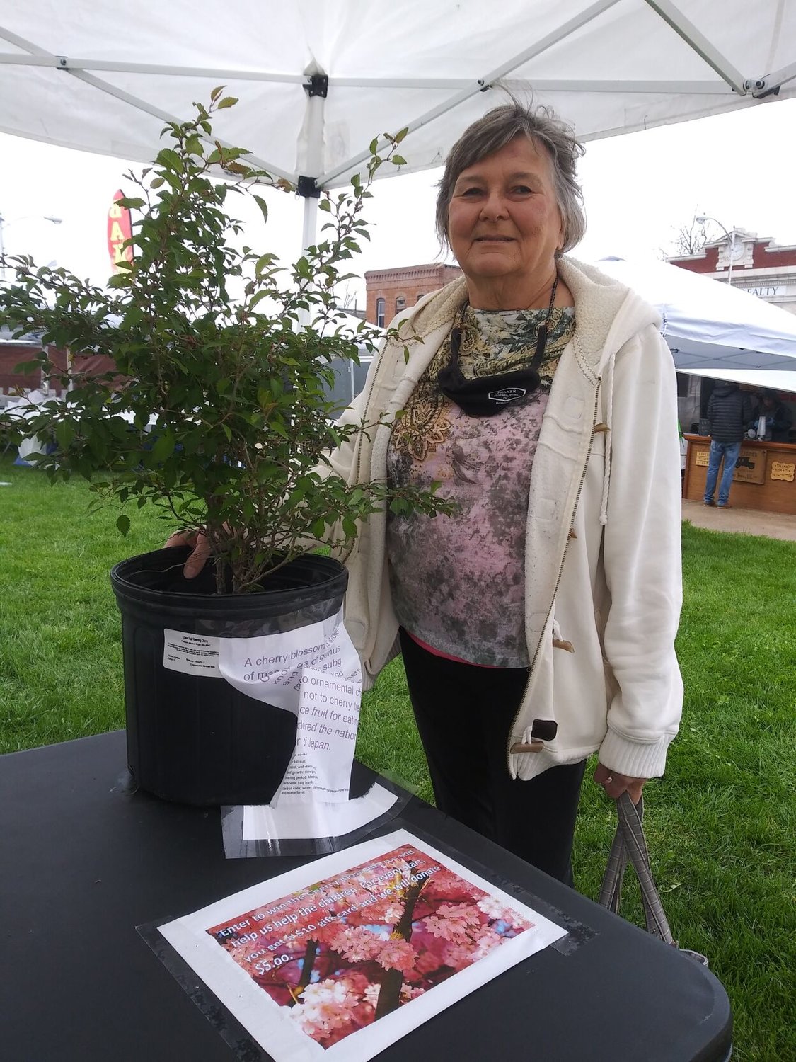 Edie Dunbar, a new subscriber to the Marshfield Mail, was the proud winner of our Cherry Blossom Tree giveaway. It was also her 73rd birthday, Saturday April 24. Happy birthday again, Edie. Congratulations on your new tree!