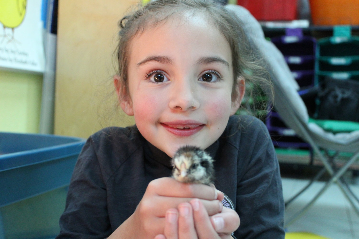 Egg-cellent work! Reece Robertson, 1st grader, is all smiles with her newest and fuzziest classmate.