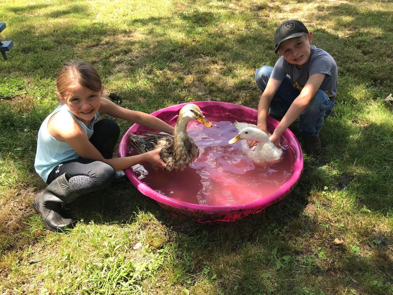 Evan and Katie Skidmore prep their ducks for the Webster County Fair with a nice bath.
