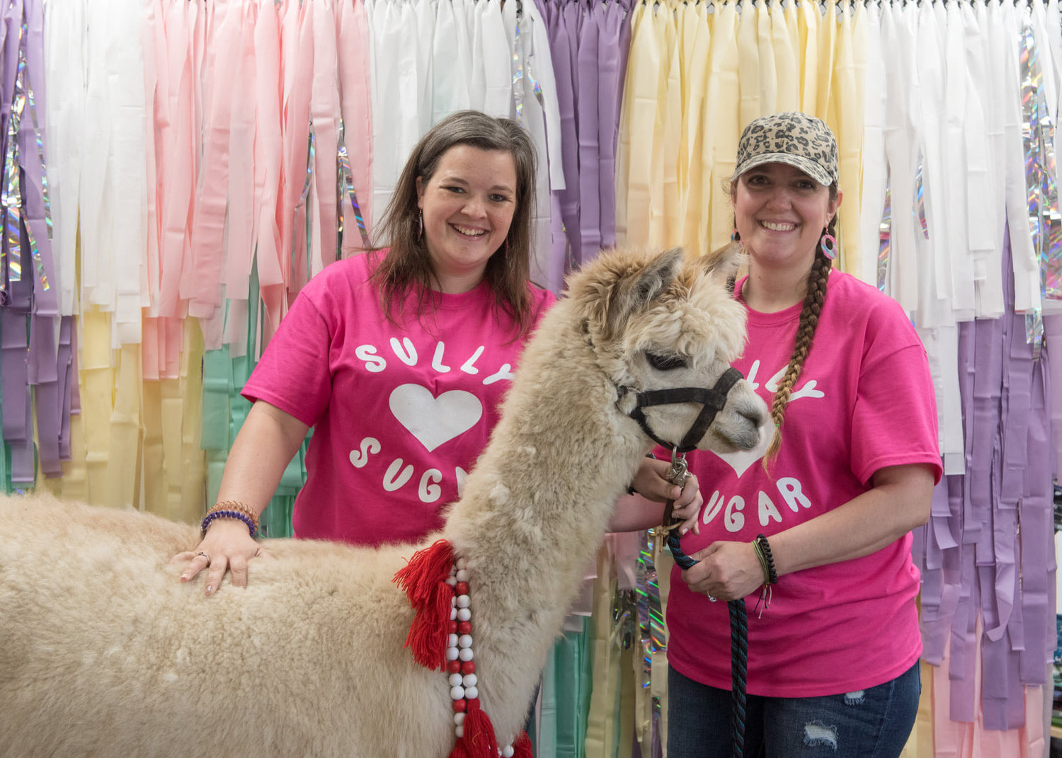 From microchipping events to the annual summer sidewalk sale there is always a fun event in the works at Sully Loves Sugar. Morgan Fields (left) and Stroup (right) pose with a llama during one of the events.