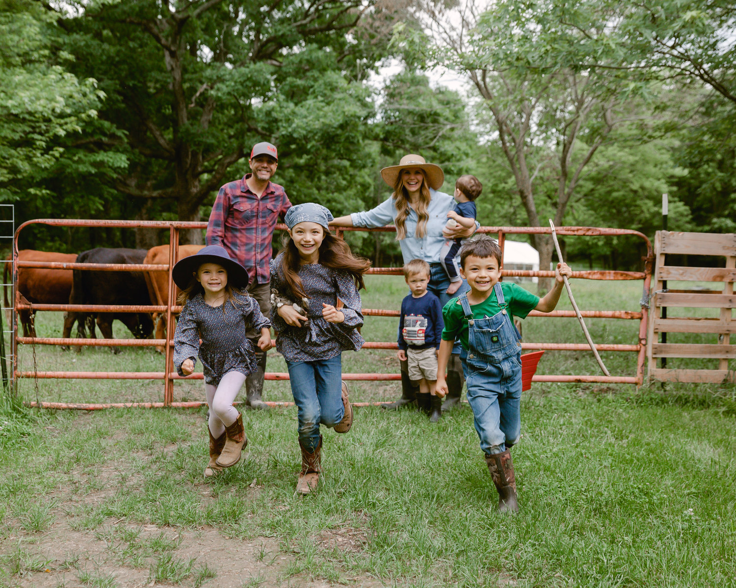 The Big Family not only tends to pumpkins, but also Dexter cows, chickens and hogs. The Soldinie family are finding that farming is more than a job, it is a way of life, a happy life at that.