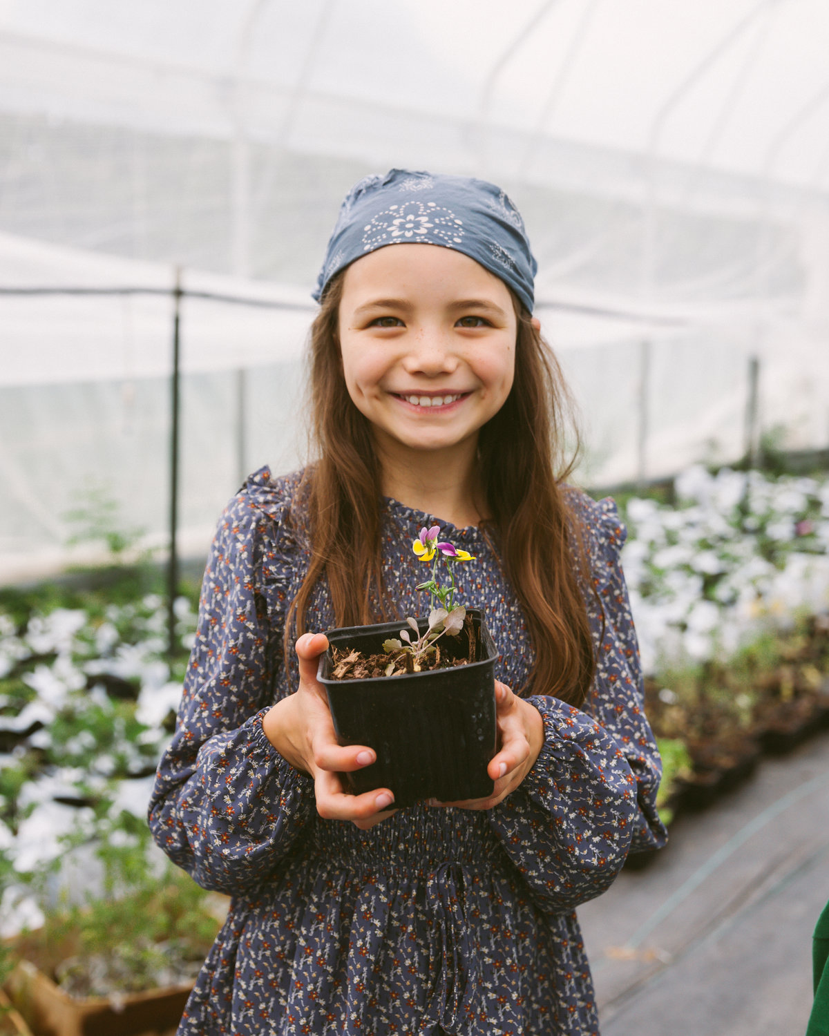 Agnes Regina, 8, also known as “Lieutenant Mom,” holds one of the many perennial flowers growing at The Big Family Farm’s greenhouse.