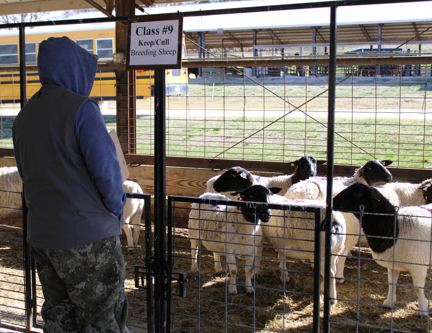Students were taken to the Webster County Fairgrounds to judge livestock like the one pictured.


Mail Photos by John "J.T." Jones