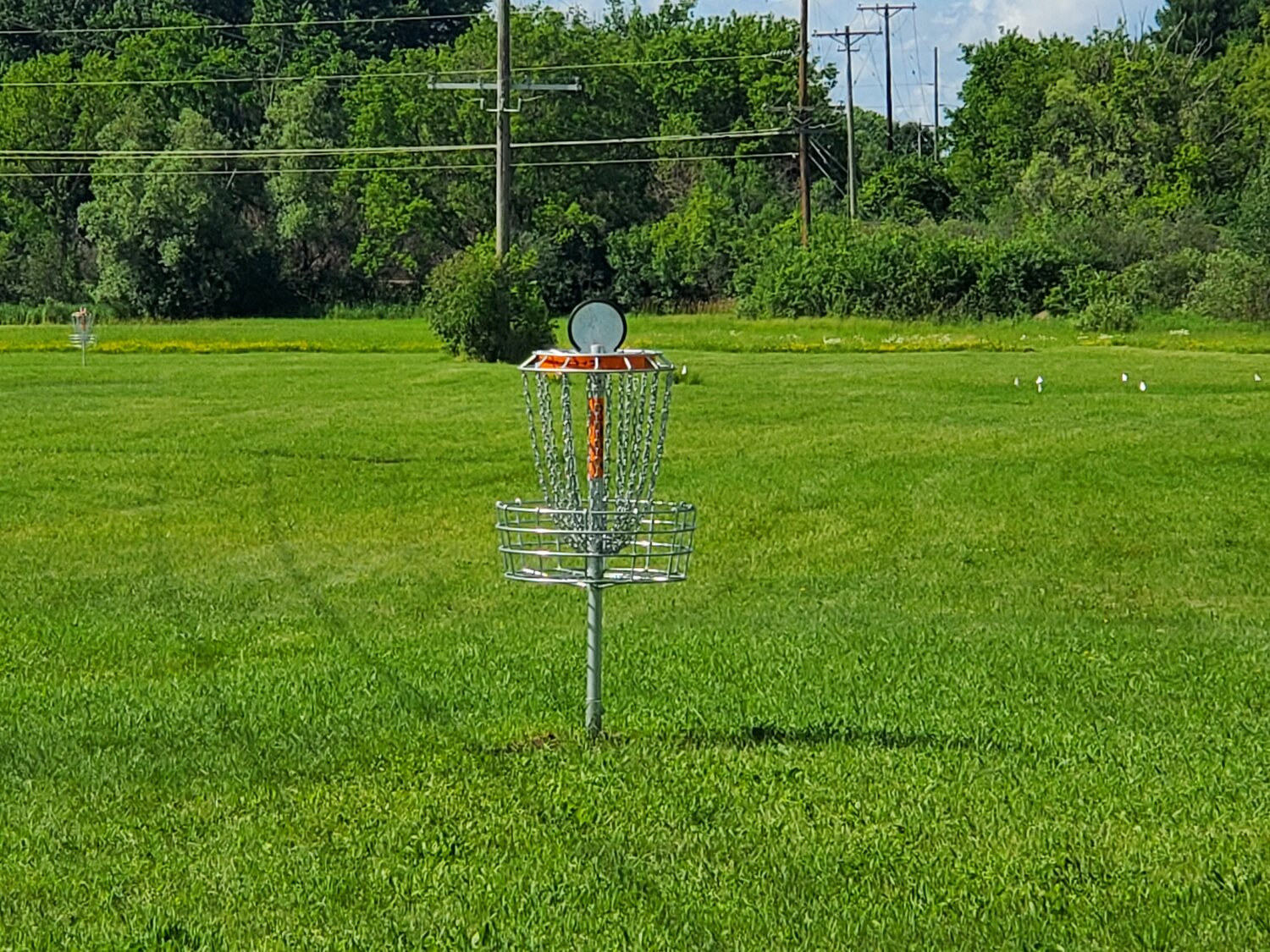 New disc golf course at Fireman’s Park - Monroe County Herald