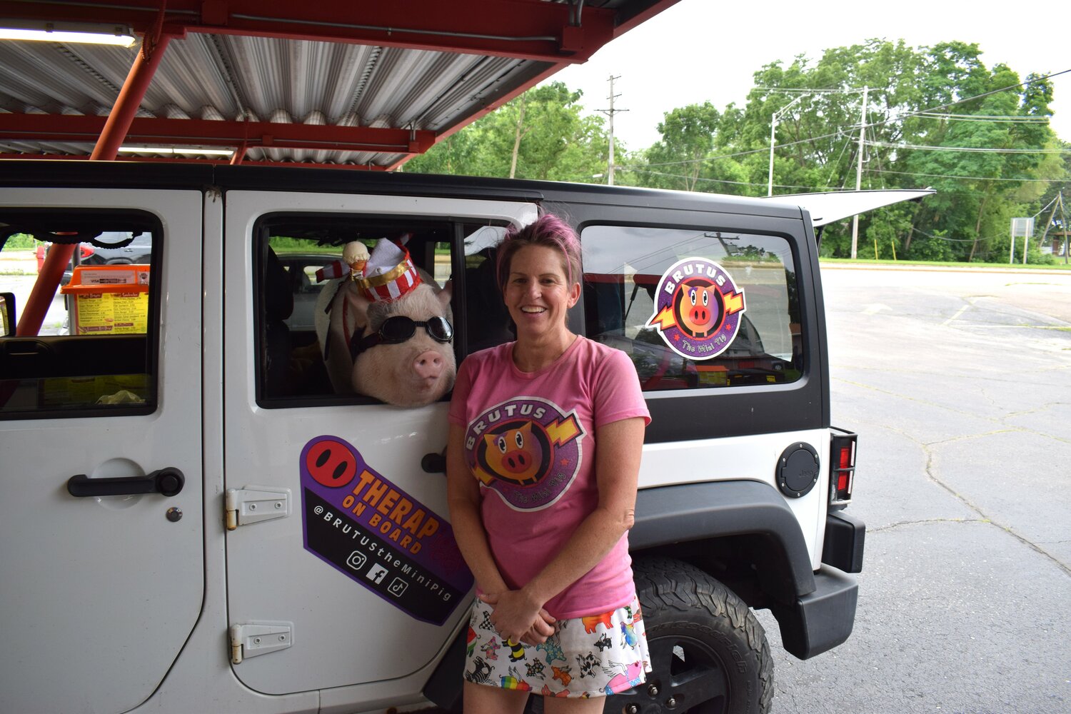 Brutus the therapy pig takes a break for ice cream - Monroe County Herald