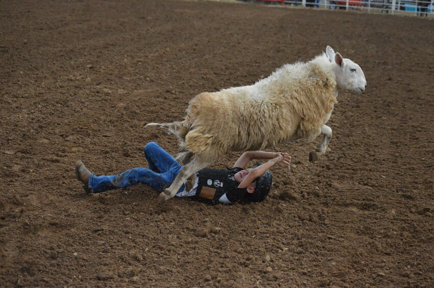 A young rider participates in Mutton Bustin' in 2023.