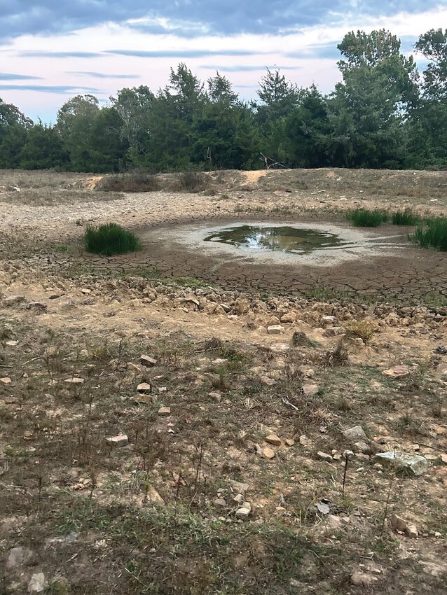 Fire blackened this field and went into the trees, spreading to between 15 and 20 acres Monday afternoon.