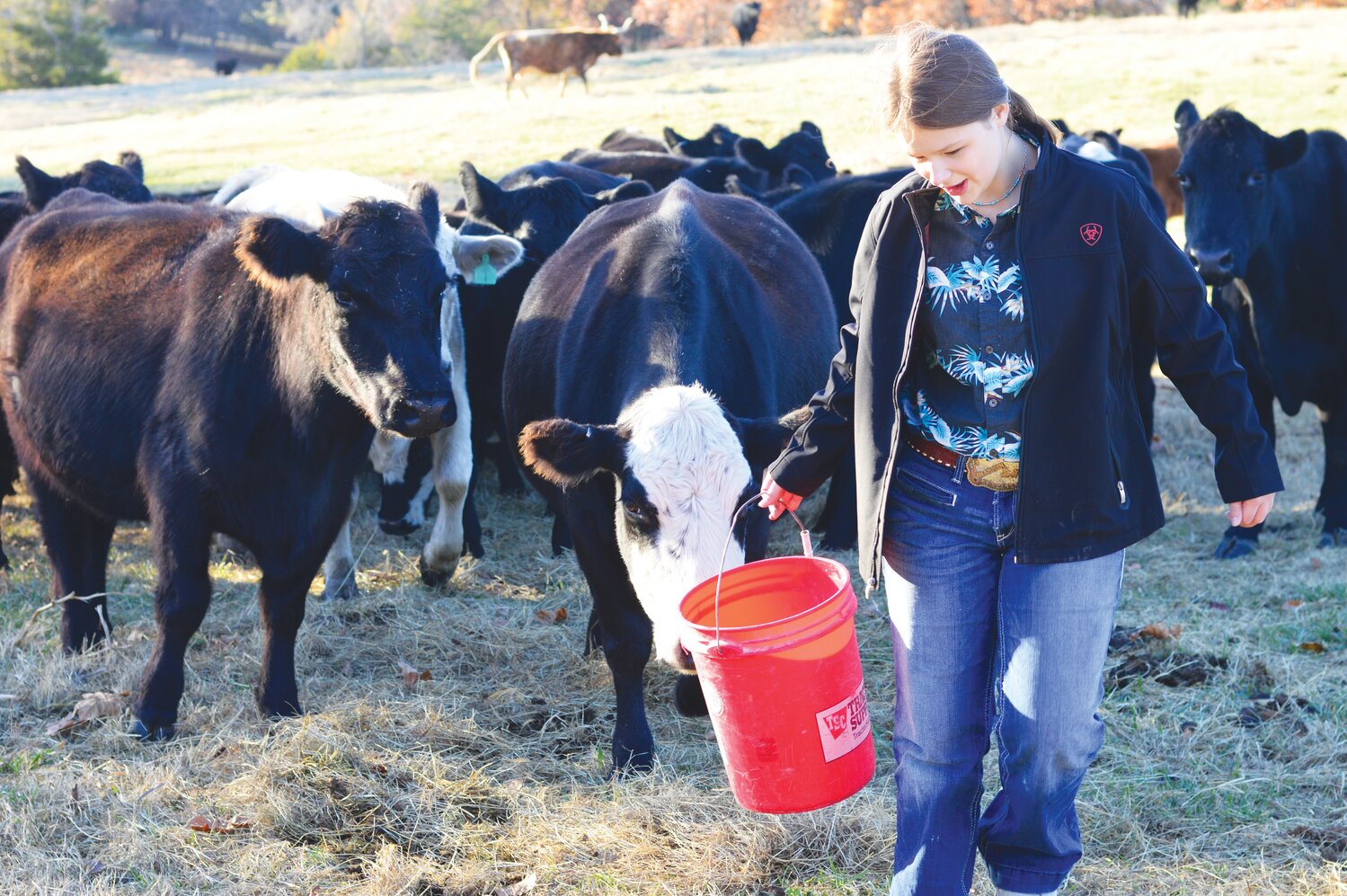 Kya enjoys taking care of the cattle.