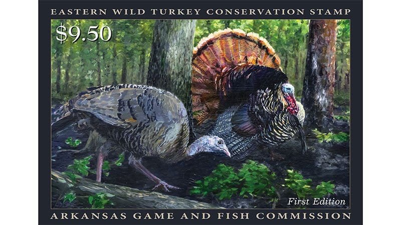 Arkansas Turkey Stamp promotes habitat conservation and awareness