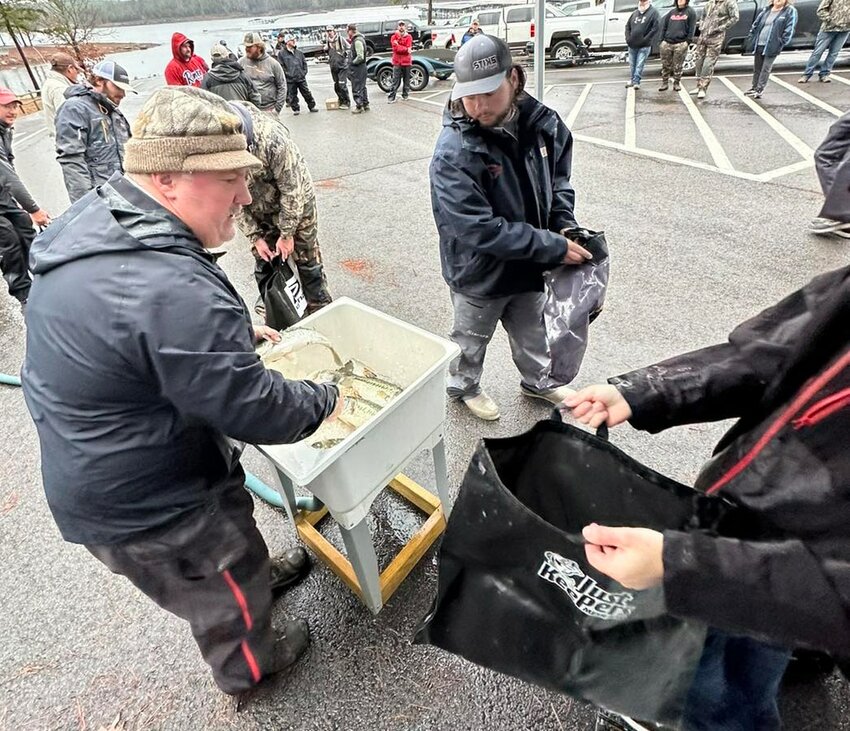Anglers weighing their fish during the Mr. Bass of Arkansas tournament on Greer&rsquo;s Ferry Lake in February. Photo courtesy of Trader Bill&rsquo;s Team Trail.