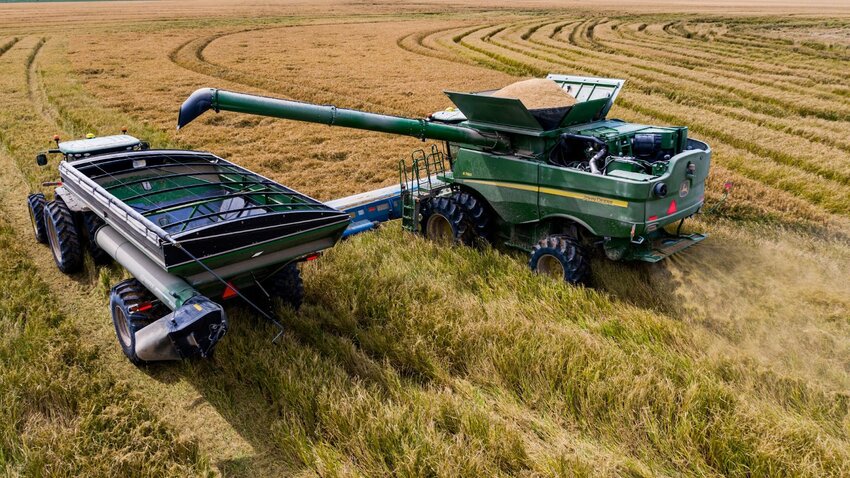 The AGFC&rsquo;s WRICE program allows producers to harvest their rice and receive additional payments to flood and allow public access on their lands during waterfowl season.