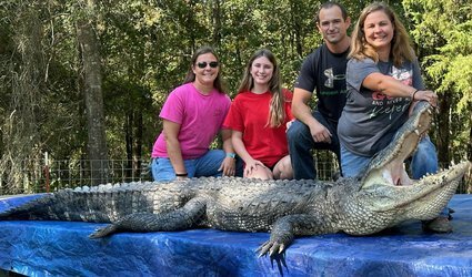 Melissa Phillips harvested this 12-foot, 2-inch alligator she harvested with the help of her husband Heath Phillips and sister Shannon Vickers on the first night of Arkansas’s 2023 Alligator Season. The alligator weighed approximately 530 lbs.