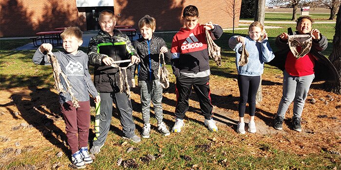 Ag in the Classroom book grant allows Kings students to 'plant' underwear -  The Rochelle News-Leader