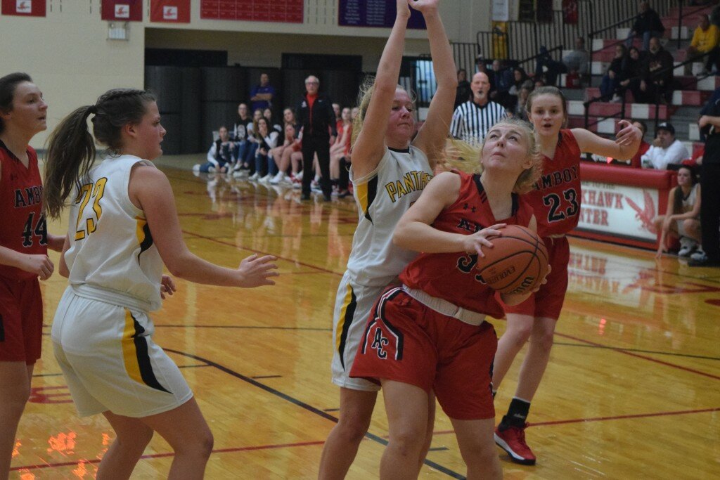 Amboy’s Brianna Blaine eyes the bucket while being closely guarded by Lena-Winslow’s Madilyn Schultz in the Oregon Tipoff Tournament on Nov. 22.
News photo