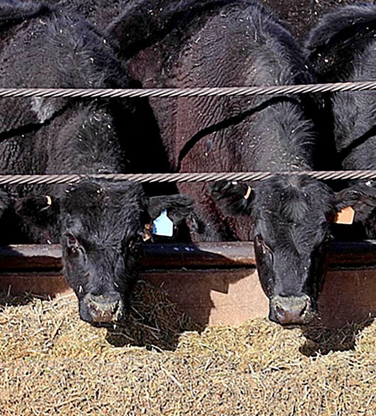 The Siouxland Feedlot Forum will be on June 18 in South Sioux City, Nebraska.