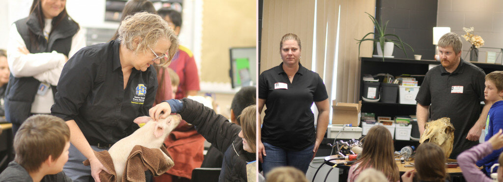 LEFT: Crystal Levesque, an associate professor of swine nutrition at South Dakota State University, took time out of her day on Nov. 15 to, among other things, bring in a piglet for Camelot Intermediate School students to examine and learn from. She was among more than two dozen presenters taking part in the Educator for a Day event. RIGHT: Jacci and Ryan Fedeler of Heartland Veterinary Clinic were among the presenters at the Educator for a Day event on Nov. 15 at Camelot Intermediate School in Brookings. (Mondell Keck/Brookings Register)
