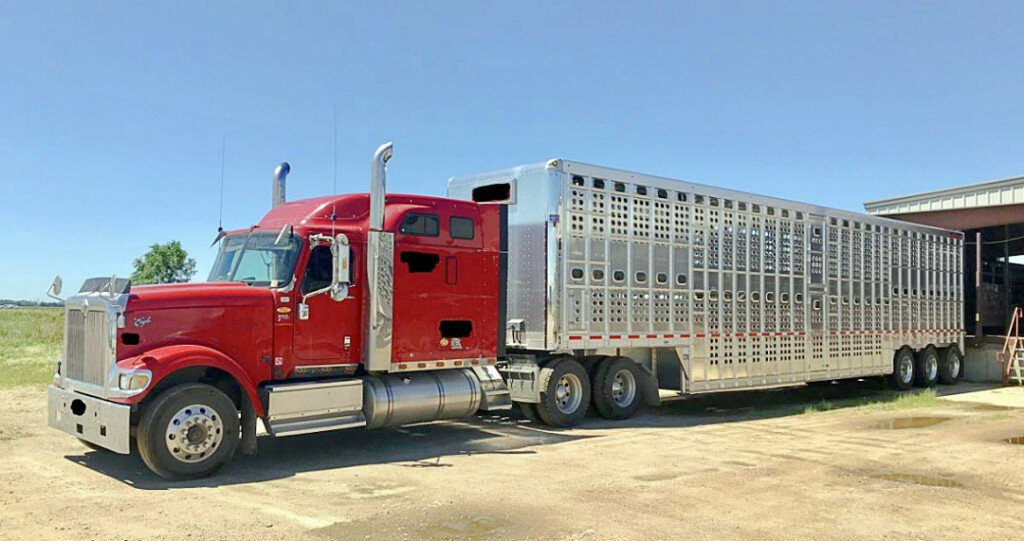 Extension to host beef transportation training - Brookings Register