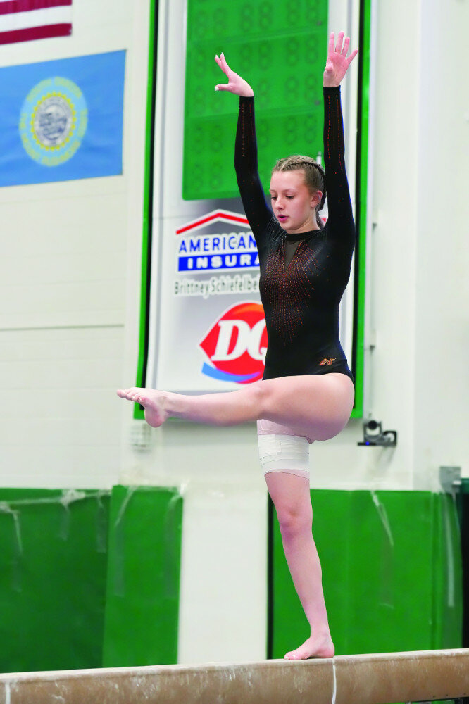 Huron gymnasts end season at state - The Daily Plainsman