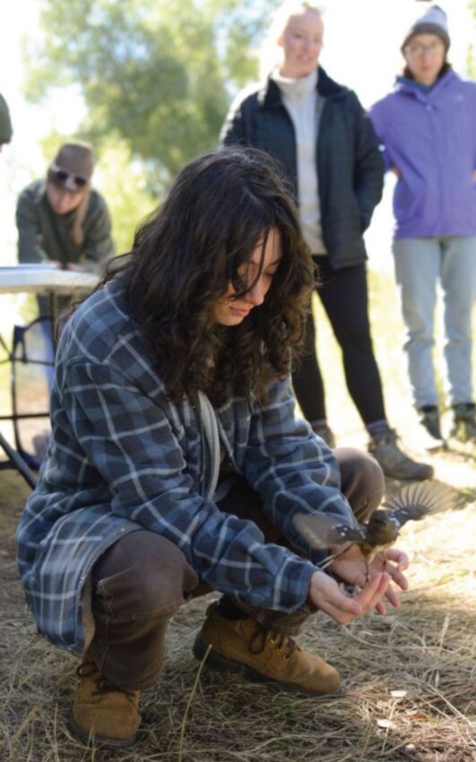 Therese Turner, a UW junior from Broomfield, Colo., majoring in wildlife and fisheries biology and management, handles a spotted towhee at the bird banding station in Laramie. Kylie Schelhaas, left in background, a UW junior from Cheyenne double-majoring in zoology, and environment and natural resources, and Grace Peters, a sophomore from Rapid City, S.D., majoring in wildlife and fisheries biology and management, observe.