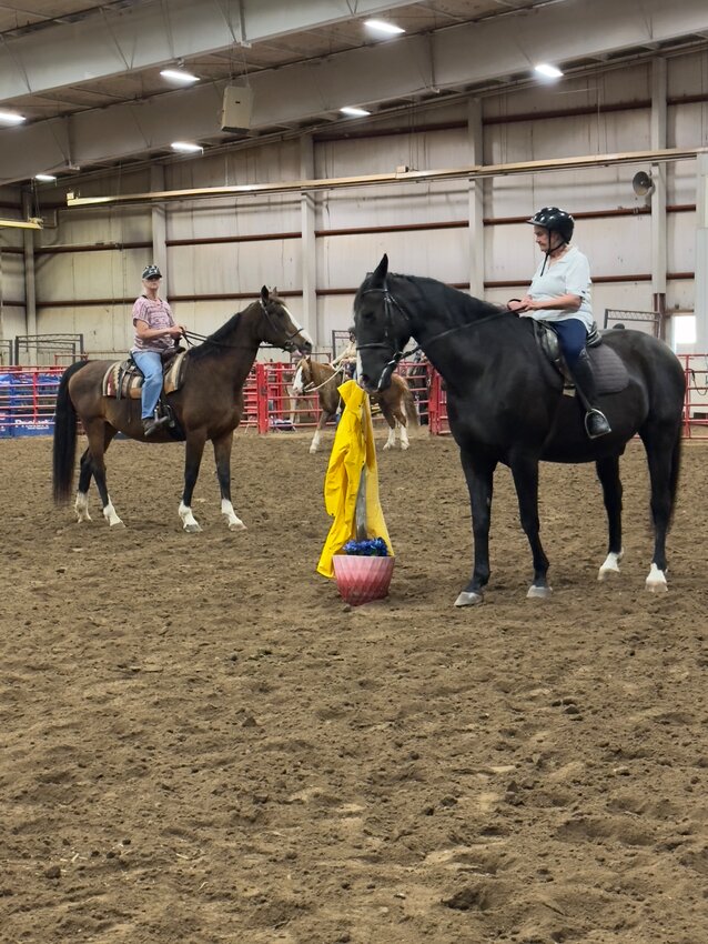 Wild mustangs gather during Operation Remount activities as Wyoming Mustang Association volunteers coordinate efforts to support the region's iconic horse population management programs.