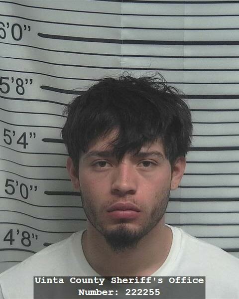 Harry Flores