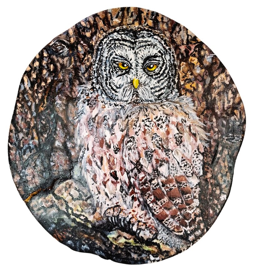 'Great Gray Owl,' by Lindsey Paige, Bedford, Wyo.