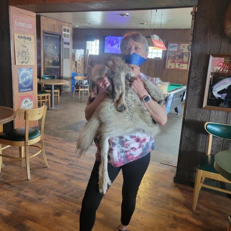 In the wake of the alleged torture and killing of a yearling wolf by Cody Roberts, his aunt, a bartender at the Green River Bar, Jeanne Ivie Roberts, seems to mock the thousands of Wyoming residents, hunters, ranchers and others who are outraged by the wolf’s inhumane treatment by her nephew as she poses with her duct tape over her mouth and what appears to be the pelt of the brutalized animal inside the bar. She used this photo as a new profile picture on Facebook after her nephew’s story went viral but has since replaced it with another image.