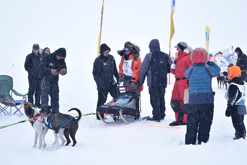 Musher Linda Pierce gets ready to take off in the second position to finish 16th. (GAZETTE PHOTO/Nathanael Himes) 