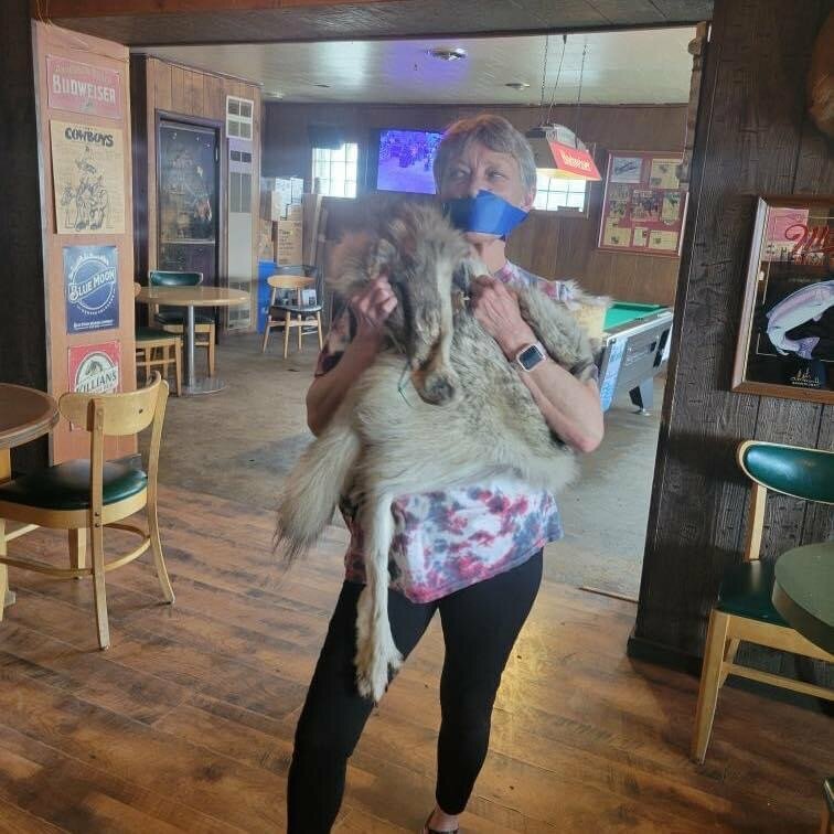 In the wake of the alleged torture and killing of a yearling wolf by Cody Roberts, his aunt, a bartender at the Green River Bar, Jeanne Ivie Roberts, seems to mock the thousands of Wyoming residents, hunters, ranchers and others who are outraged by the wolf’s inhumane treatment by her nephew as she poses with duct tape over her mouth and what appears to be a wolf pelt. She used this photo as a new profile picture on Facebook after her nephew’s story went viral but has since replaced it with another image.