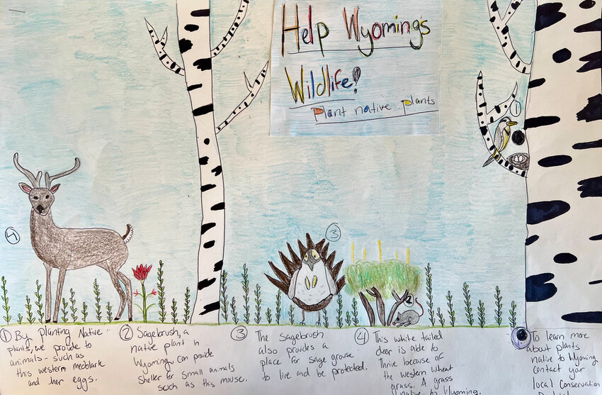 Pinedale Middle School student Isla Blair’s drawing focuses on the theme ‘Help Wildlife: Grow Native Plants,” and illustrates the critical relationship between Wyoming’s flora and fauna. Created with the help of her teacher, Kandase Youtz, Blair’s drawing was one of four winners selected in the statewide contest.