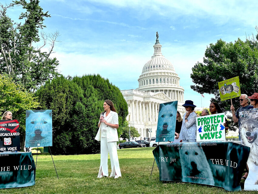 Filmmaker Ashley Avis, pictured, organized the Cry for the Wild rally in Washington, D.C. ‘In an inadvertent way, Cody Roberts gave the wolf community a gift,’ Avis said.