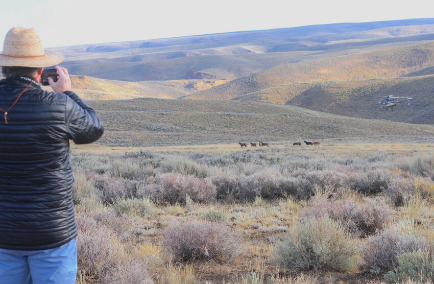 Black Hawk, Colorado, resident Bill Carter documents a wild horse roundup in the Bureau of Land Management's White Mountain Horse Management Area in August 2024. The BLM is moving forward with plans to completely eliminate the Great Divide Basin, Salt Wells Creek and a portion of the Adobe Town herds.