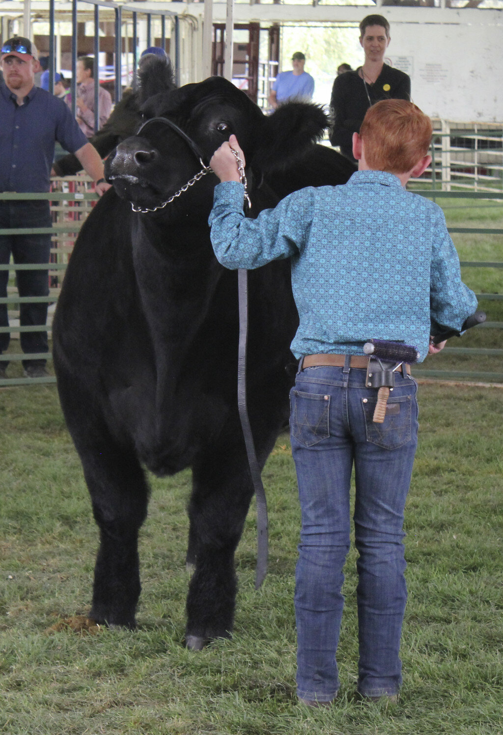 Uinta County Fair Back To Normal And Fun For All Bridger Valley Pioneer