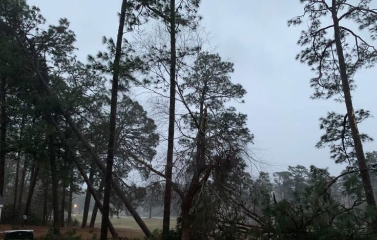The tornado caused trees to fall in Barry and Penny Langford's backyard in Barnwell on March 16.