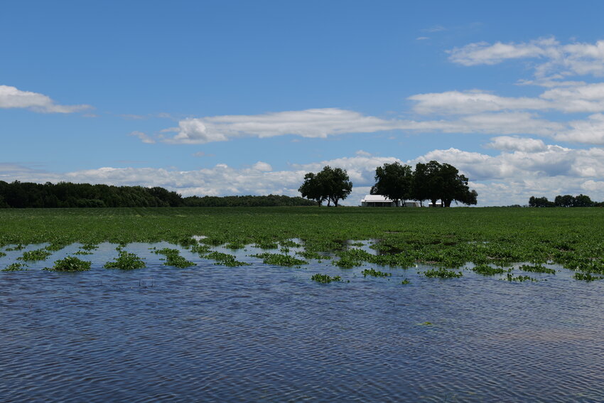 Parking lots, farms and other low-lying areas throughout Allendale and Barnwell counties were flooded by the rainfall of Tropical Storm Debby.