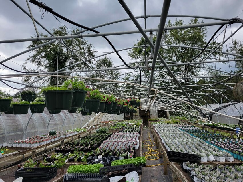 Owais Khan had four of his eight greenhouses lose their roof at Green Tech Greenhouses.