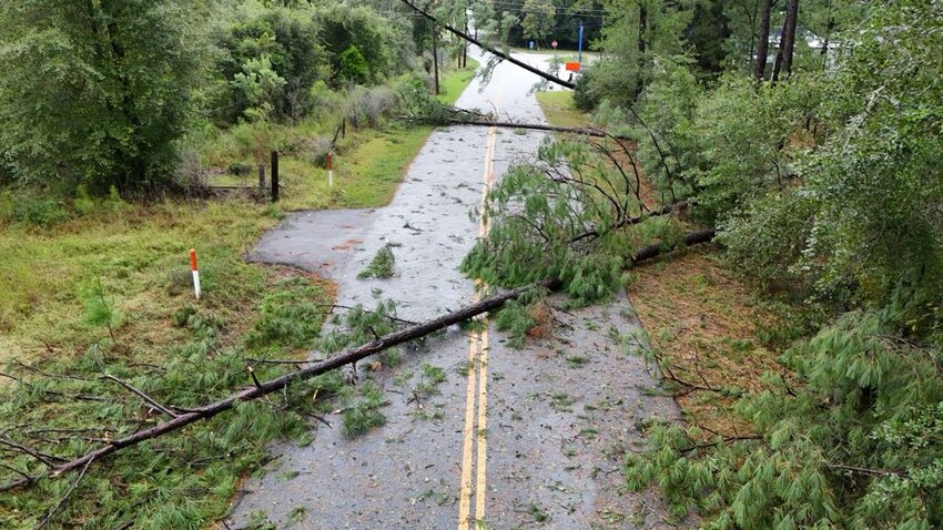 This drone photo shows trees down in the vicinity of Marlboro Avenue in the City of Barnwell.