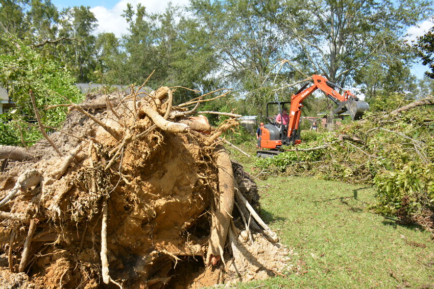 Several trees were uprooted at Wilda Carden's home in Barnwell. S.C. Baptist Disaster Relief crews helped cut and clear the trees.