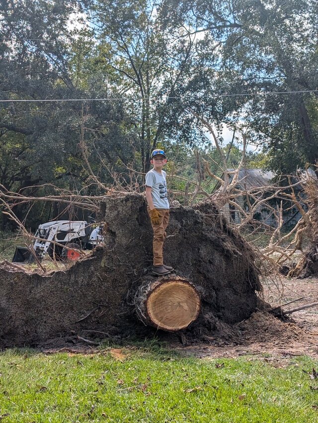 Jonathan Taylor stands on a downed tree in the yard of Marilyn Powers. The Taylor family helped Powers clean up debris in her yard after Hurricane Helene.