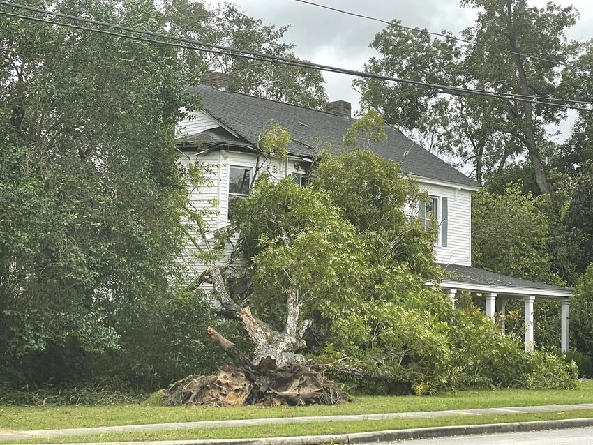 A large tree crashed into Rev. Robert Altman's home in Barnwell.