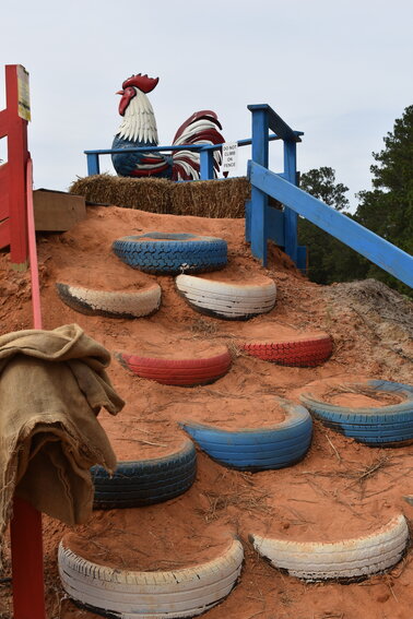 The chicken slide is a big hit at Adventure Farms in Barnwell County. 